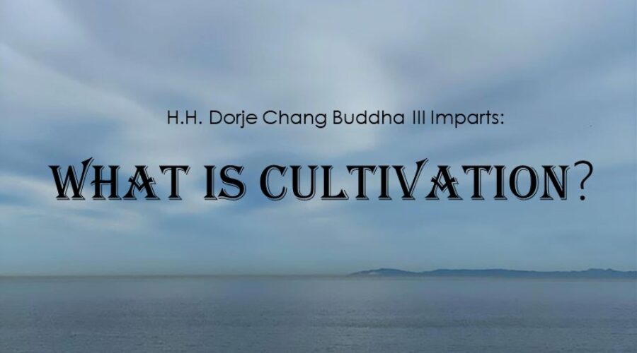 The Dharma of Cultivation
