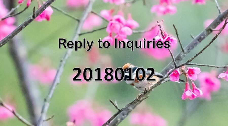 Reply to Inquiries No. 20180102