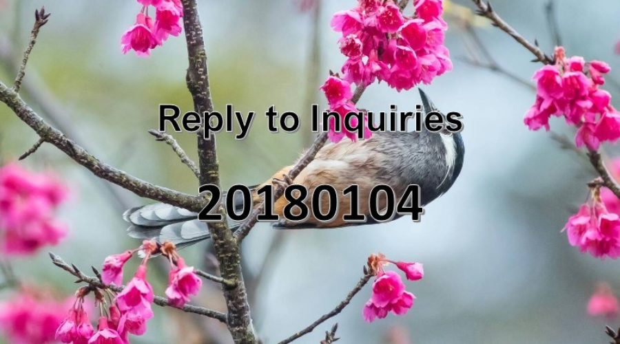 Reply to Inquiries No. 20180104
