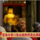 (視頻)2025 10 14 世界佛教總部舉辦恭迎南無燃燈古佛佛誕法會
